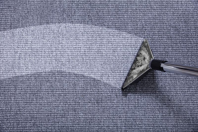 Wet Carpet Restoration detail