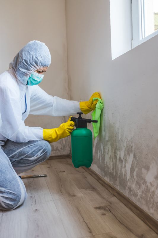Mold Remediation in Water-Damaged Areas