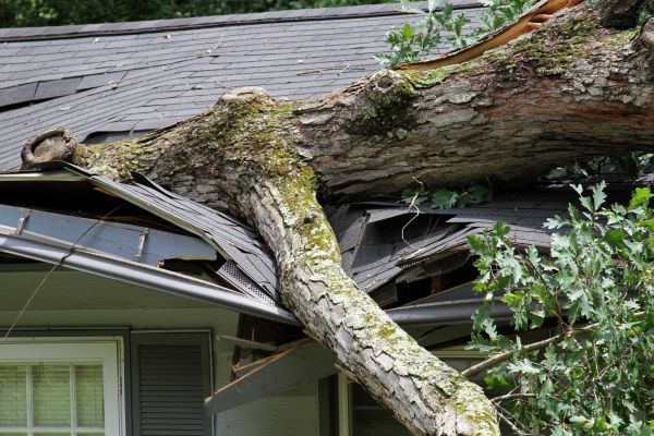 Storm Remediation in Dearborn