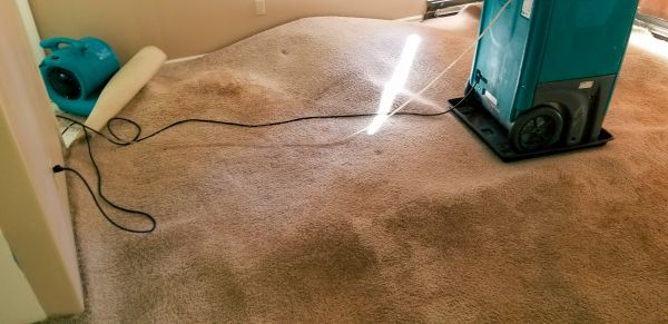 Carpet Water Extraction in Dearborn
