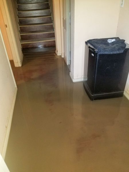 Emergency Water Removal in Dearborn