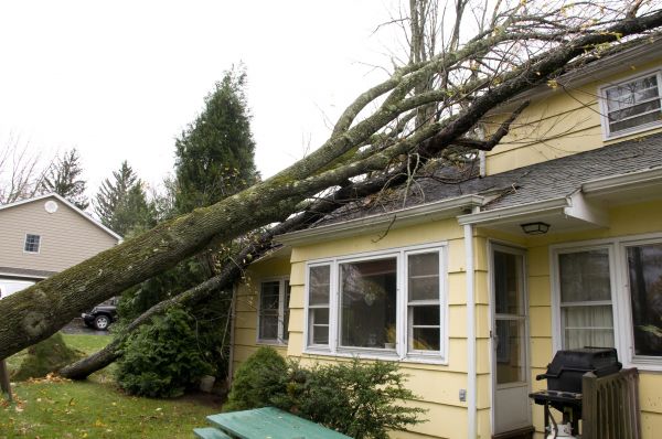 Hurricane Damage Repair in Dearborn