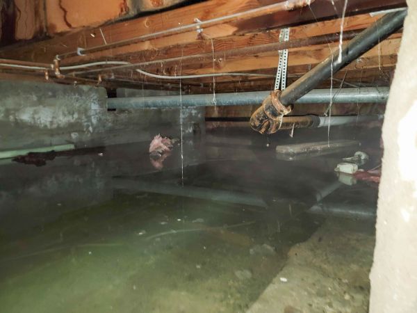 Crawlspace Water Restoration in Dearborn